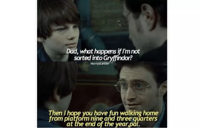 Harrypottersonexpectations 5ada2f7018ba0100371ab06c