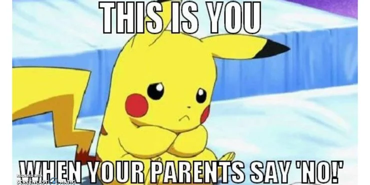 Pokemon Funny Memes (6)