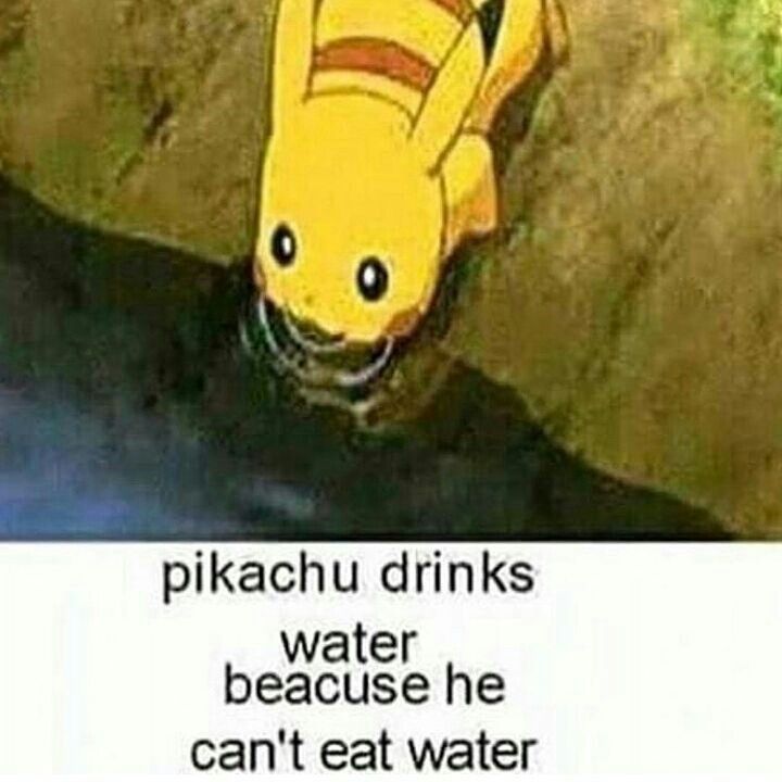 Pokemon Memes (11)