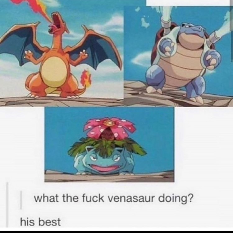 Pokemon Memes (3)