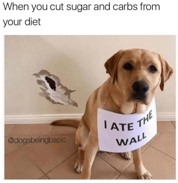 Funny Dog Memes (2)