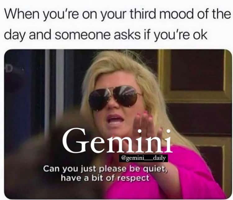 55+ Funny Gemini Memes - Funny Memes