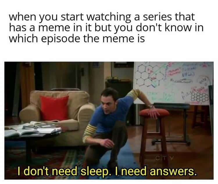 Hilarious Big Bang Theory Memes 5