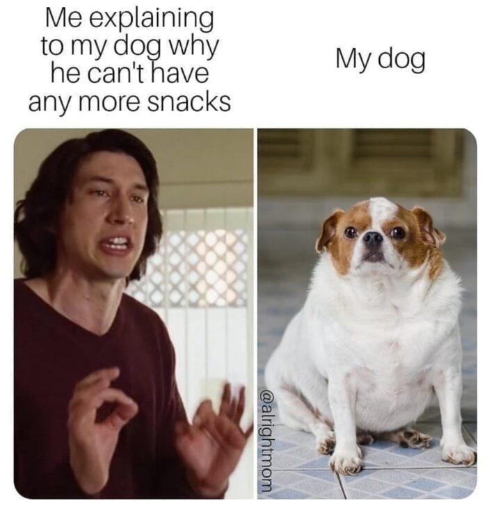 Snacks