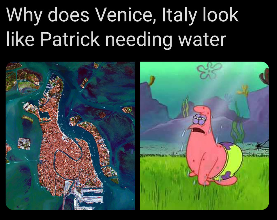 Best Patrick Memes 9