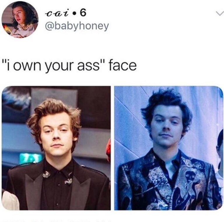 50 Hilarious Harry Styles Memes Funny Memes 