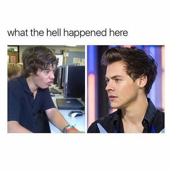 Funny Harry Styles Memes 11