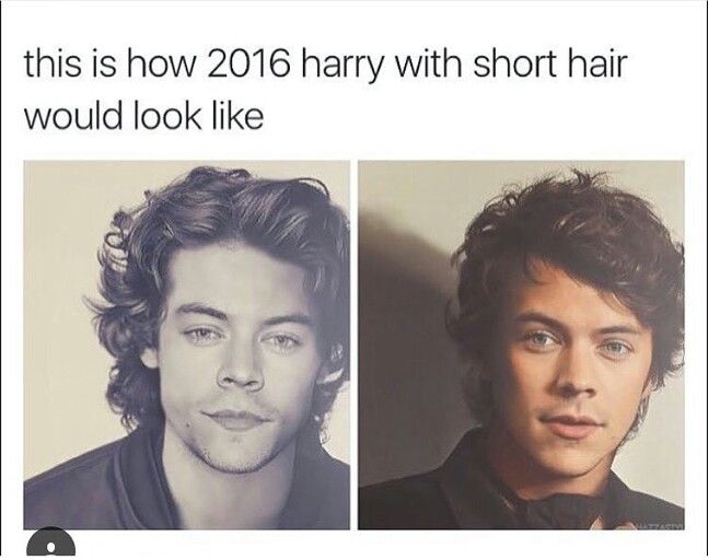 Funny Harry Styles Memes 14