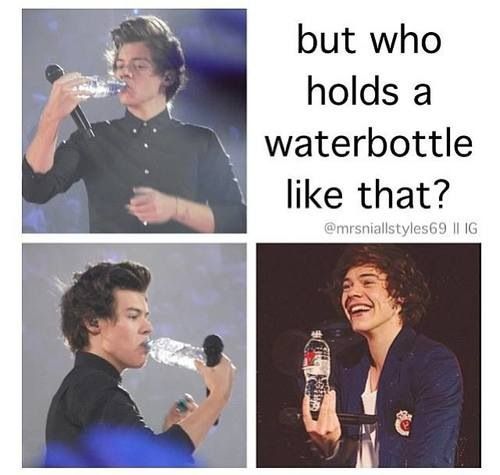 Funny Harry Styles Memes 15