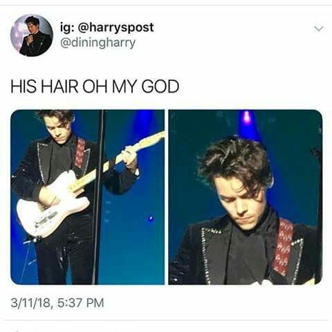 Funny Harry Styles Memes 16