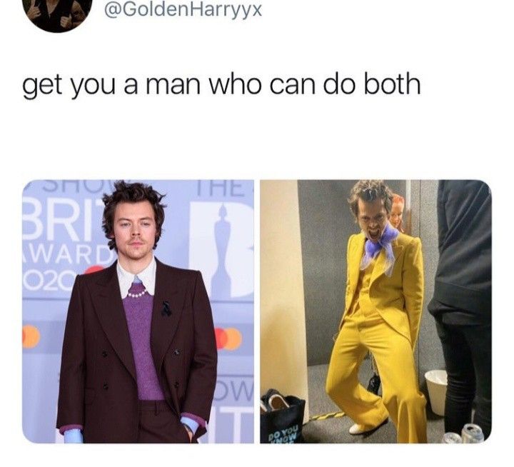 Funny Harry Styles Memes 19