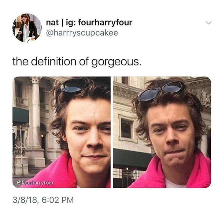 Funny Harry Styles Memes 20