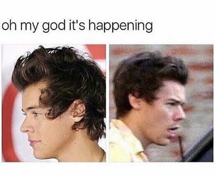 50+ Hilarious Harry Styles Memes - Funny Memes