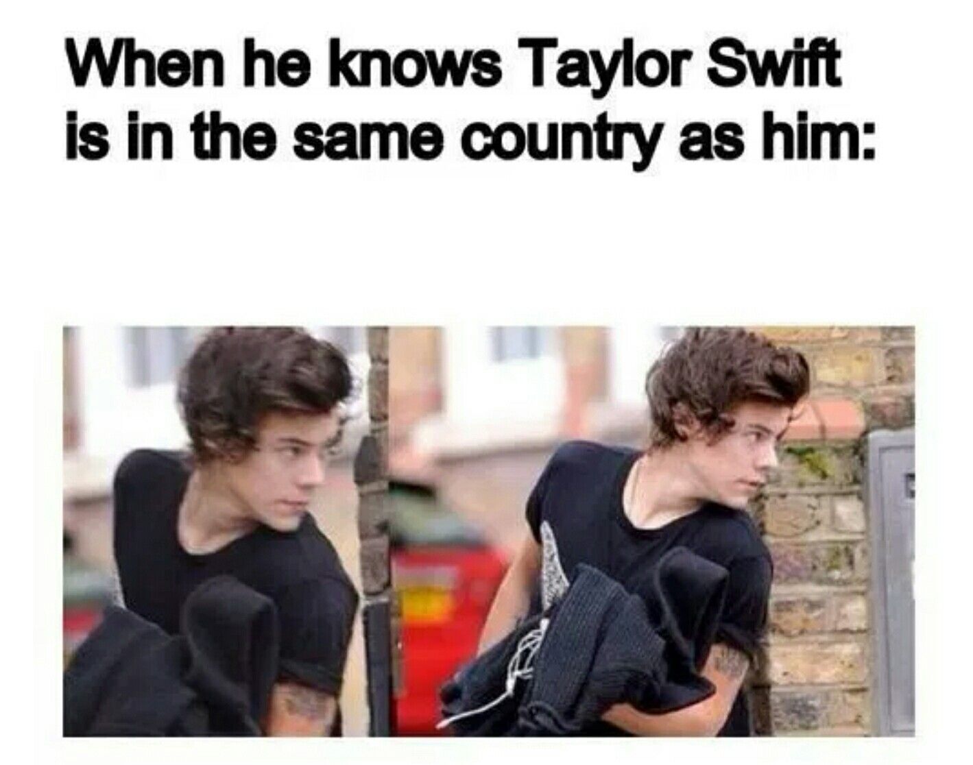 Funny Harry Styles Memes 22