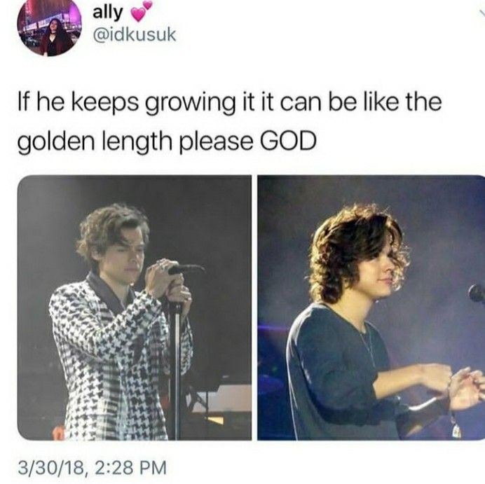 Funny Harry Styles Memes 5