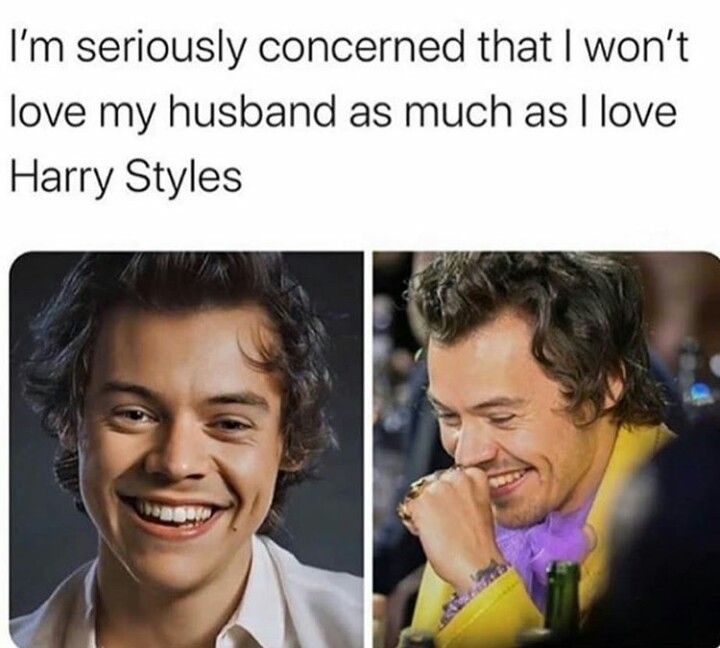 Funny Harry Styles Memes 7