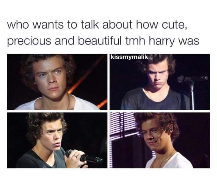 Funny Harry Styles Memes 8