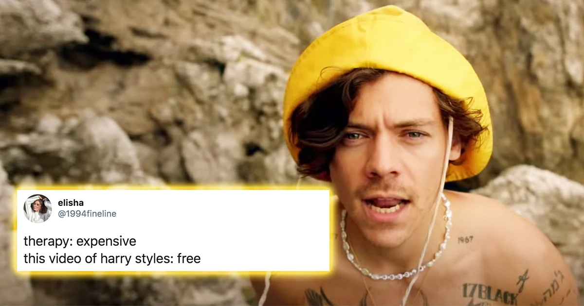 Funny Harry Styles Memes10