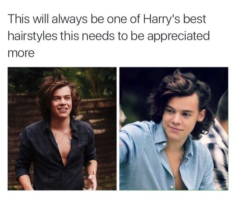 Funny Harry Styles Memes12