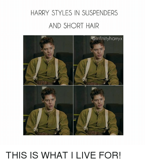 Funny Harry Styles Memes8