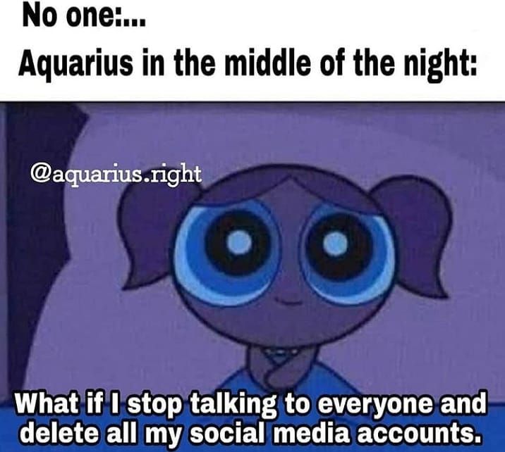 60+ Amazing Aquarius Zodiac Sign Memes - Funny Memes