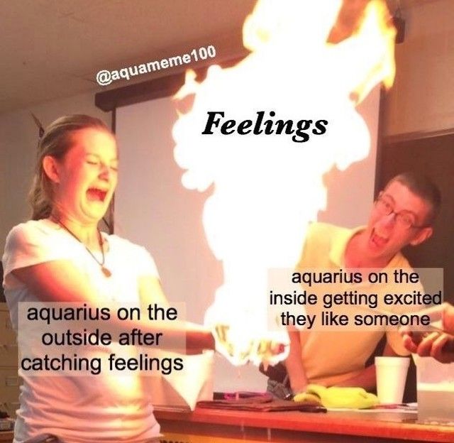 Funny Aquarius Memes 10