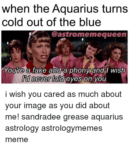 Funny Aquarius Memes 8