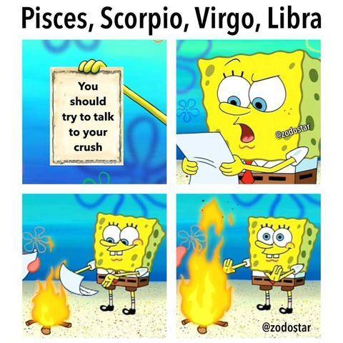 Funny Pisces Memes 30