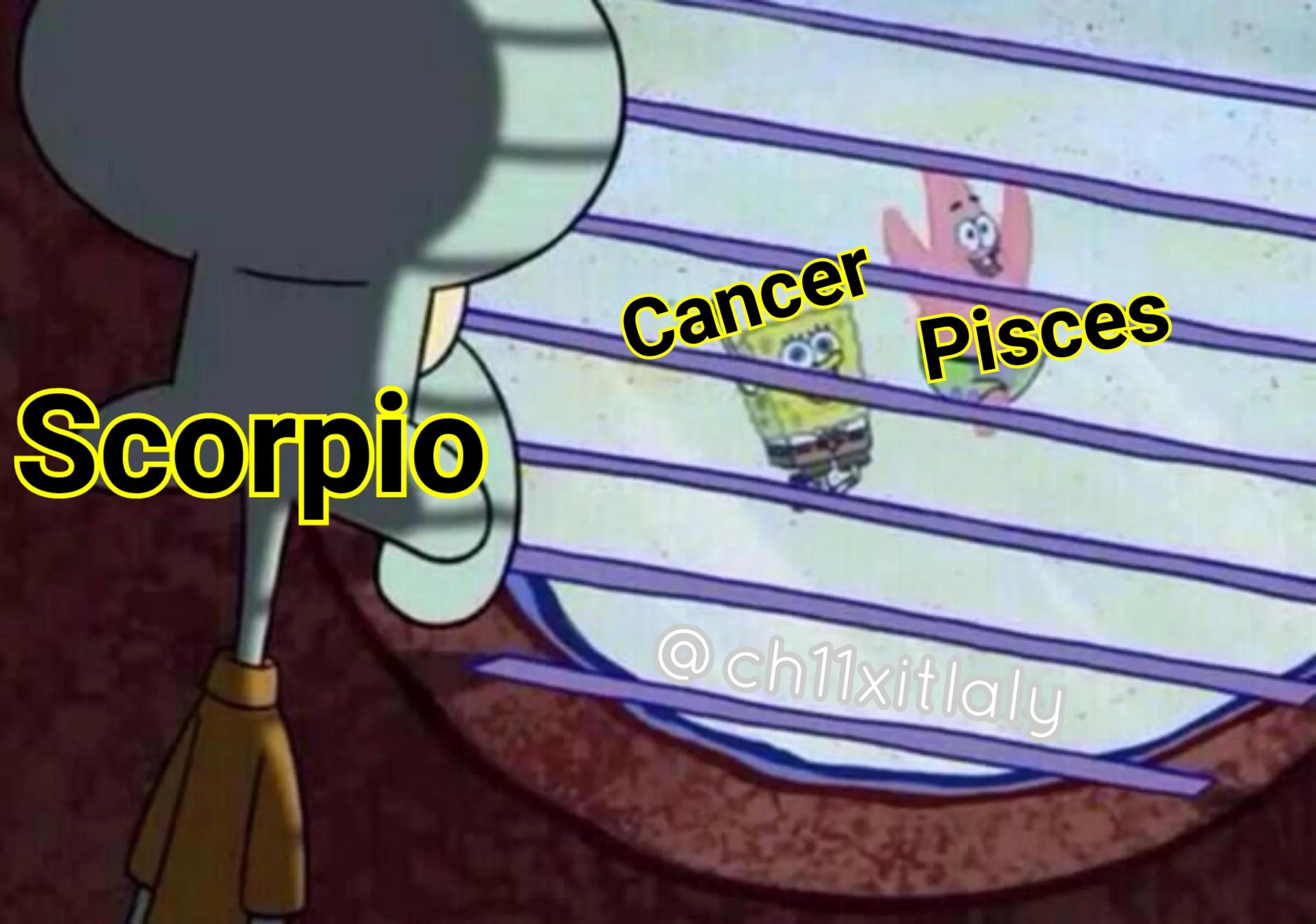 Funny Pisces Memes 4