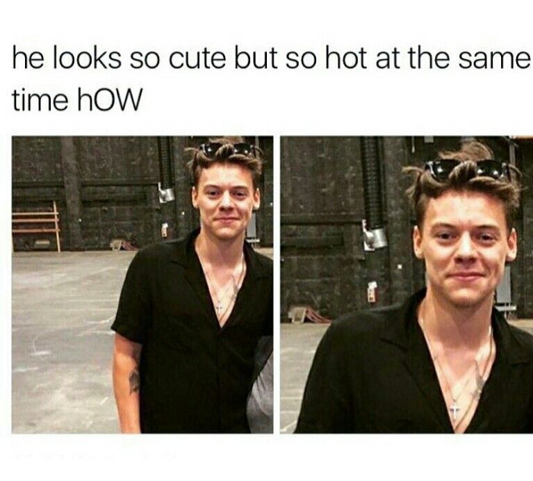 Harry Styles Memes10