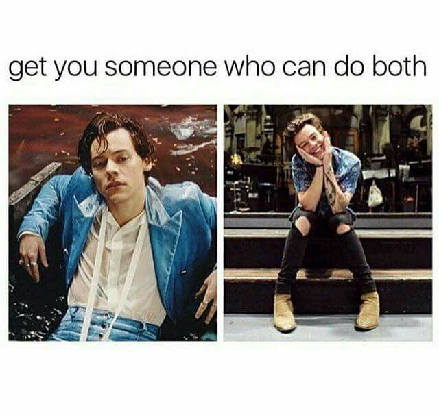 Harry Styles Memes13