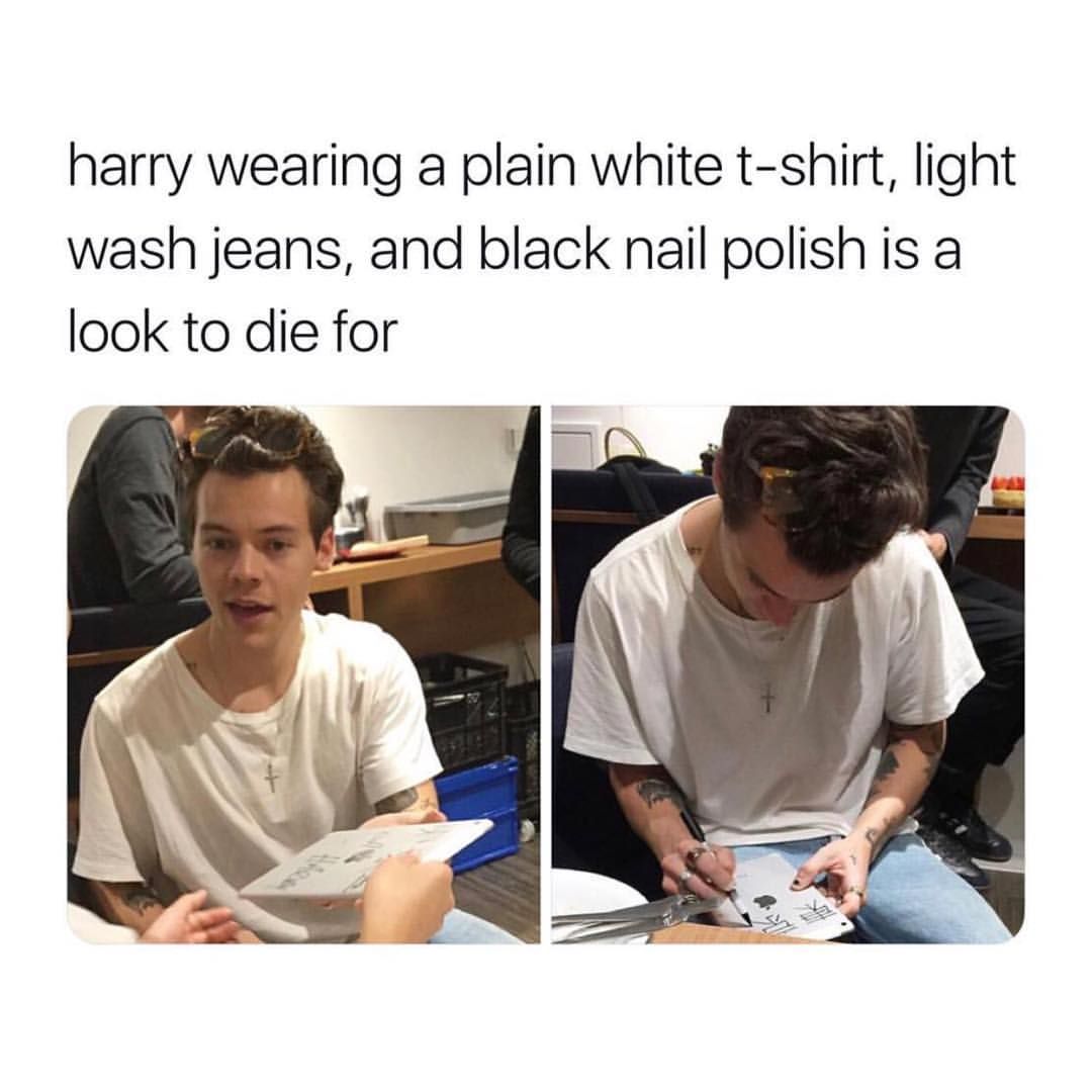 Harry Styles Memes15