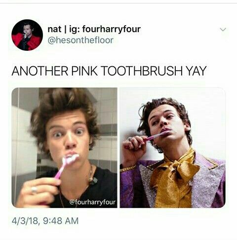 Harry Styles Memes16