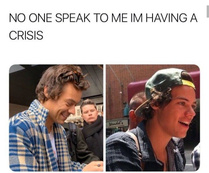 Harry Styles Memes2