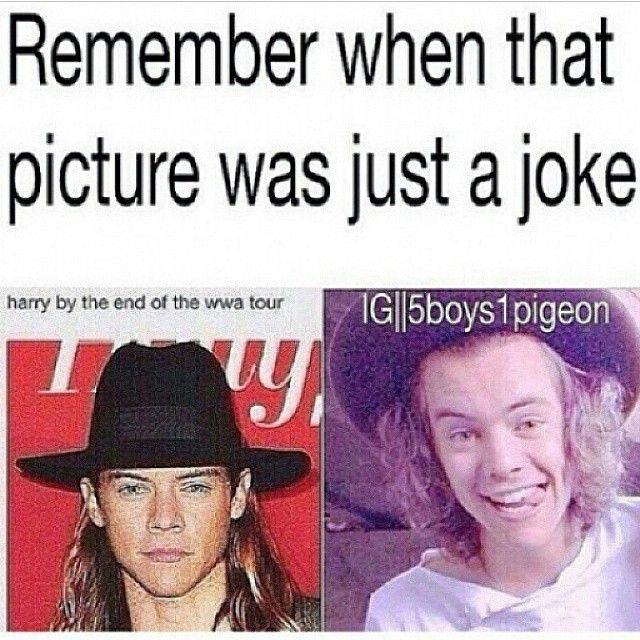 Harry Styles Memes5