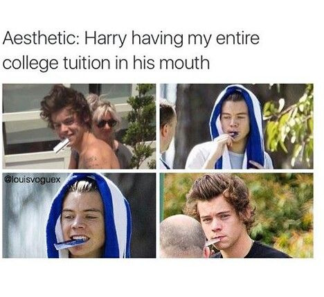 Harry Styles Memes7