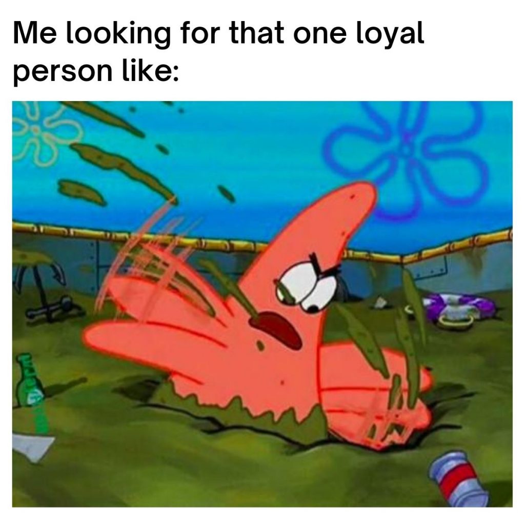 Patrick Memes 6