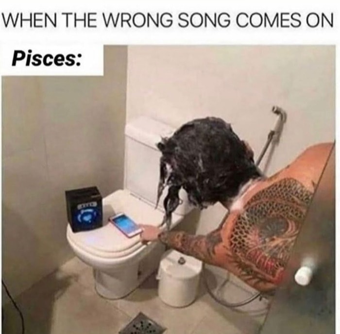 Pisces Memes 7