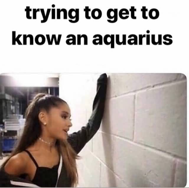 60 Amazing Aquarius Zodiac Sign Memes Funny Memes   Trying To Get To Know Aquarius Meme 