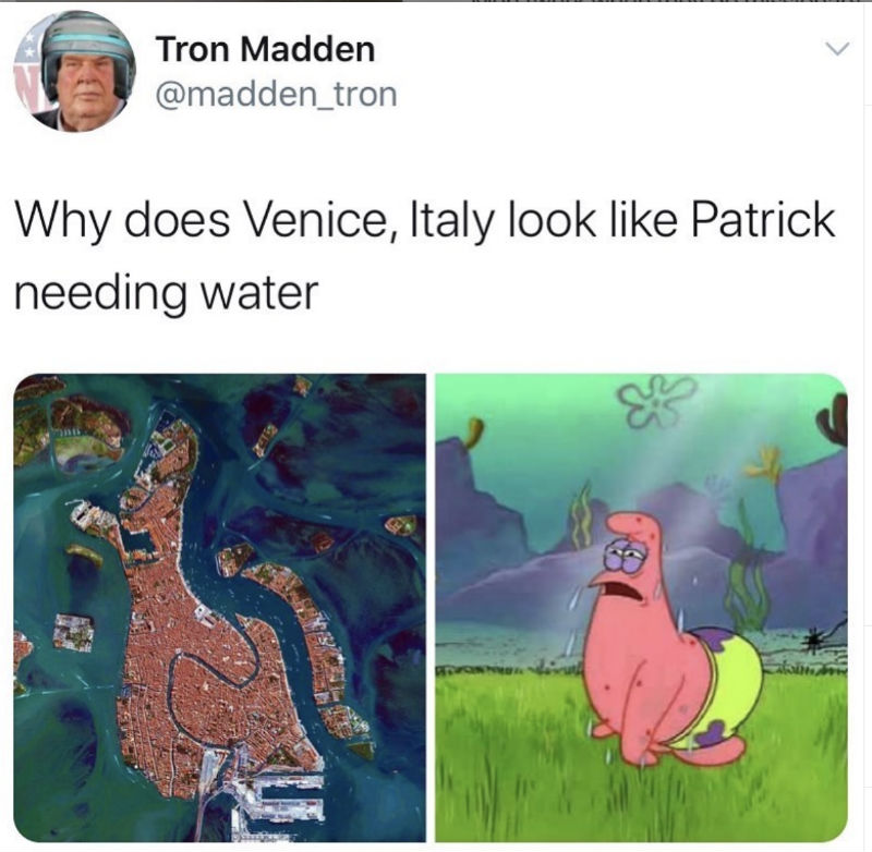 Why Does Venice Italy Look Like Patrick Needing Water Meme